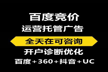 百度竞价排名服务：成功案例解析